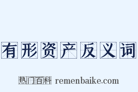 有形资产反义词是什么意思的图片